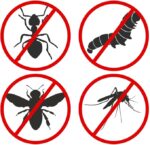 Makes 6 Litres of Insect & Bug Repellent Spray. Home, Garden, Plants, Flowers & Crops. Tried & Trusted Humane Natural Blend of Eucalyptus, Peppermint, Rosemary, Thyme, Citronella, Sage & Lavender Oil. - Image 5