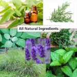 Makes 6 Litres of Insect & Bug Repellent Spray. Home, Garden, Plants, Flowers & Crops. Tried & Trusted Humane Natural Blend of Eucalyptus, Peppermint, Rosemary, Thyme, Citronella, Sage & Lavender Oil. - Image 2